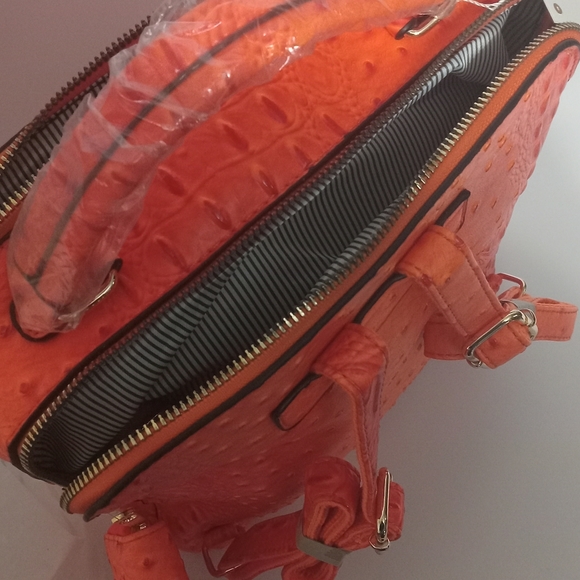 Queen Bee stripe ostrich crocodile backpack 2 in 1 - Picture 4 of 4